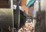 boss buck 12 v spinner attachment