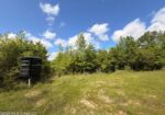85 acres in Lawence County