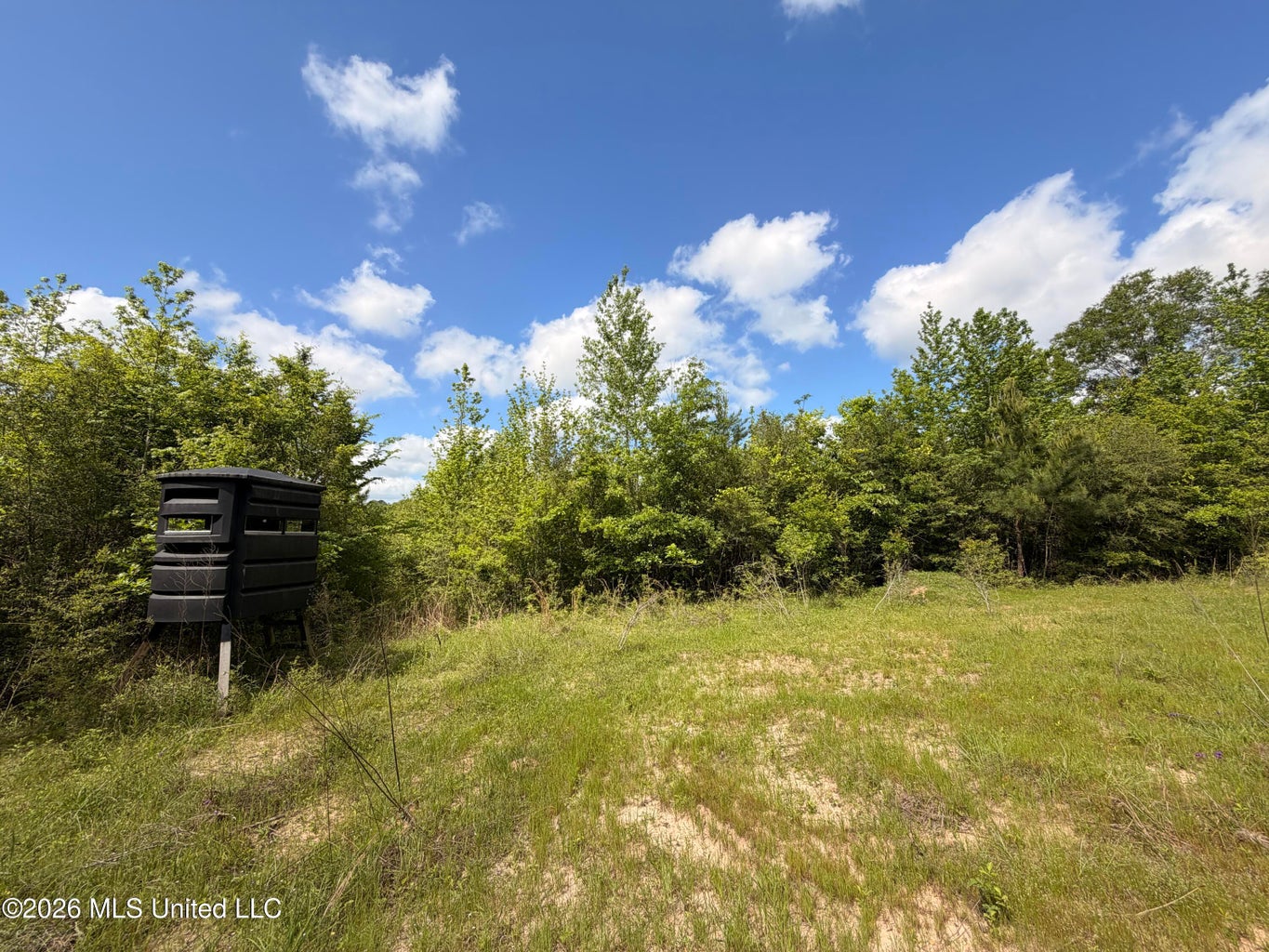 85 acres in Lawence County