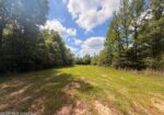 85 acres in Lawence County