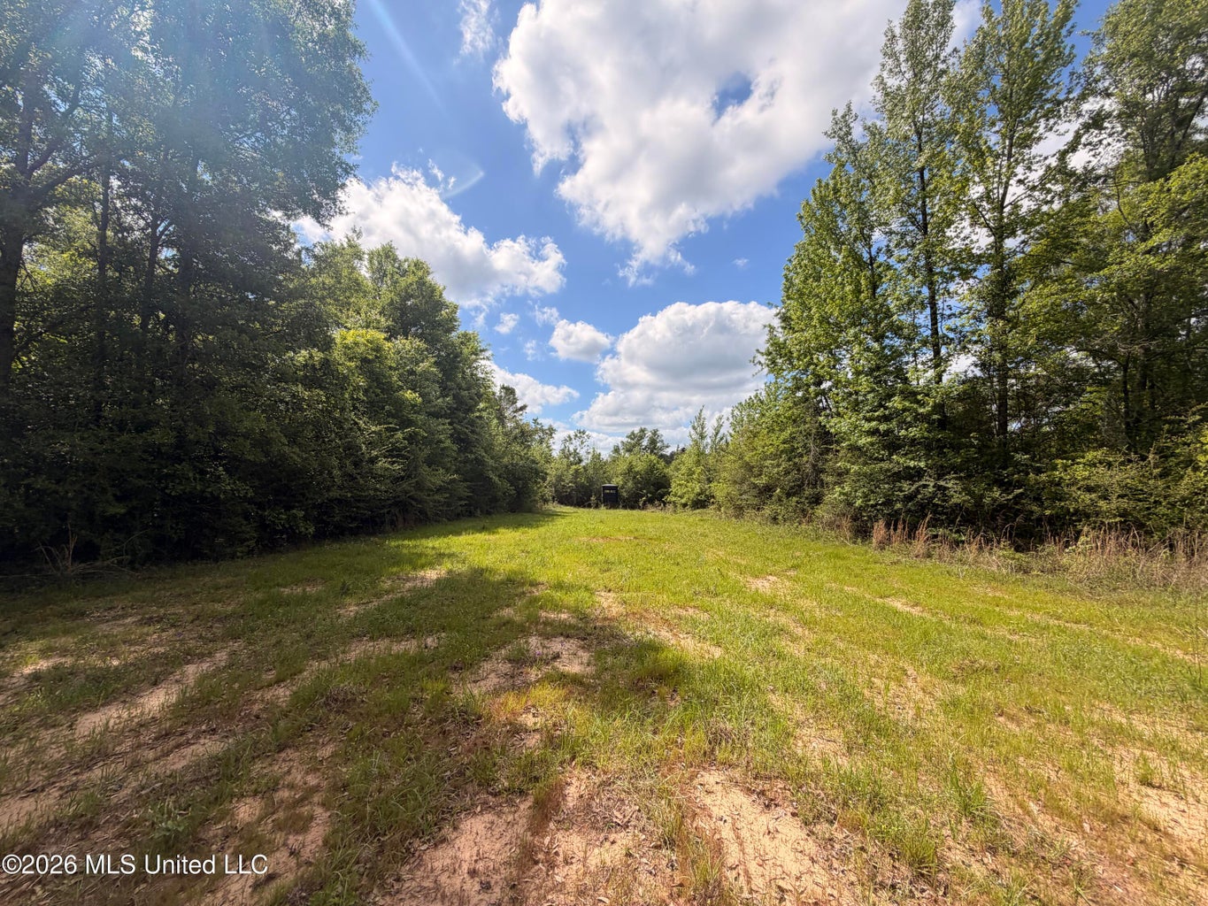 85 acres in Lawence County