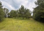 46 Acres in Walthall County