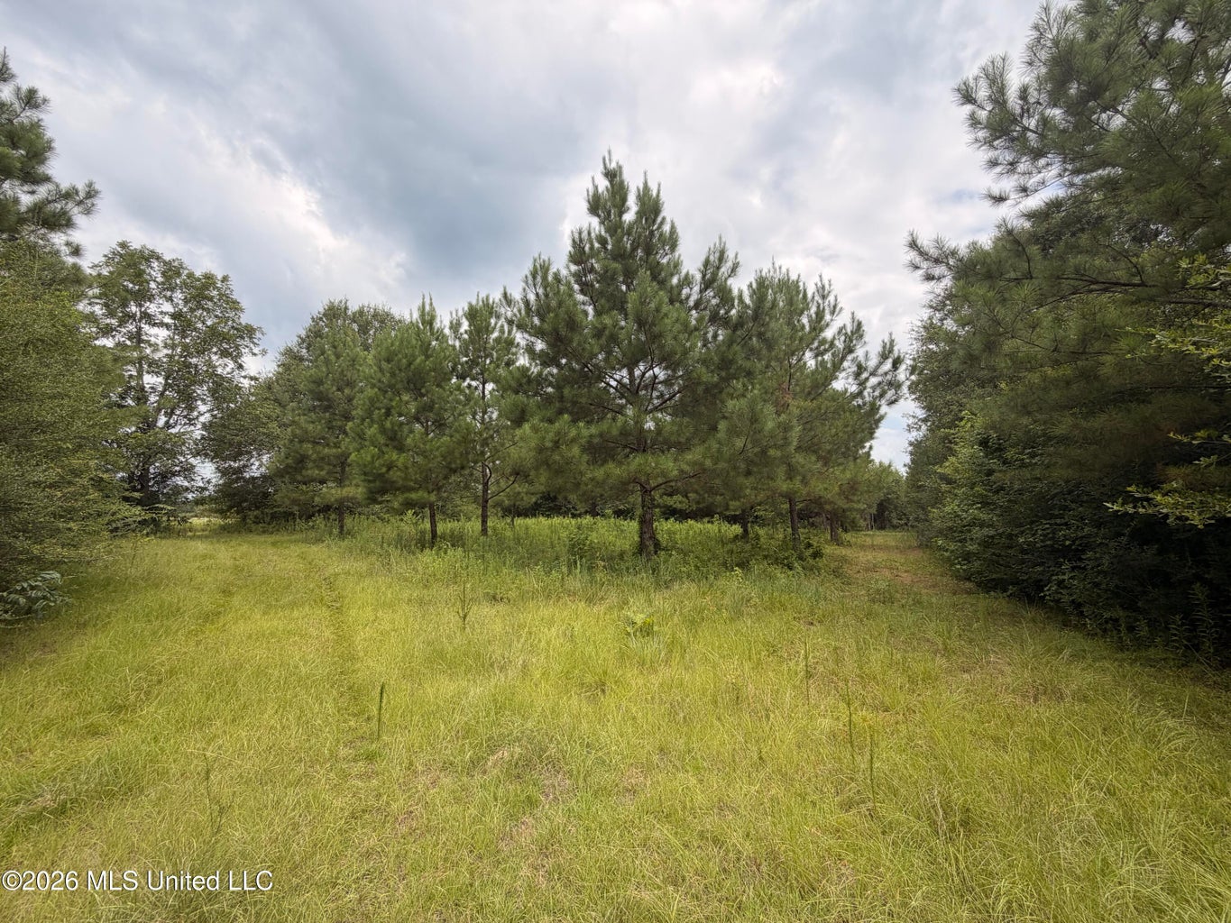 46 Acres in Walthall County