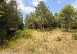 46 Acres in Walthall County
