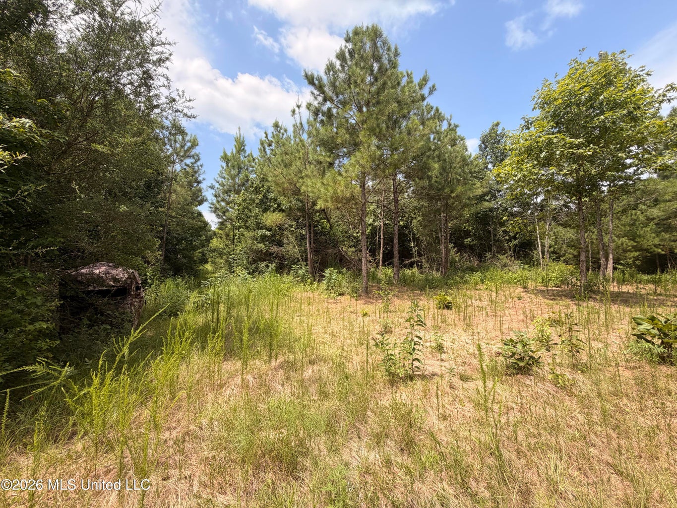 46 Acres in Walthall County