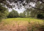46 Acres in Walthall County