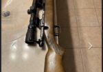 Stevens 110 30-06
