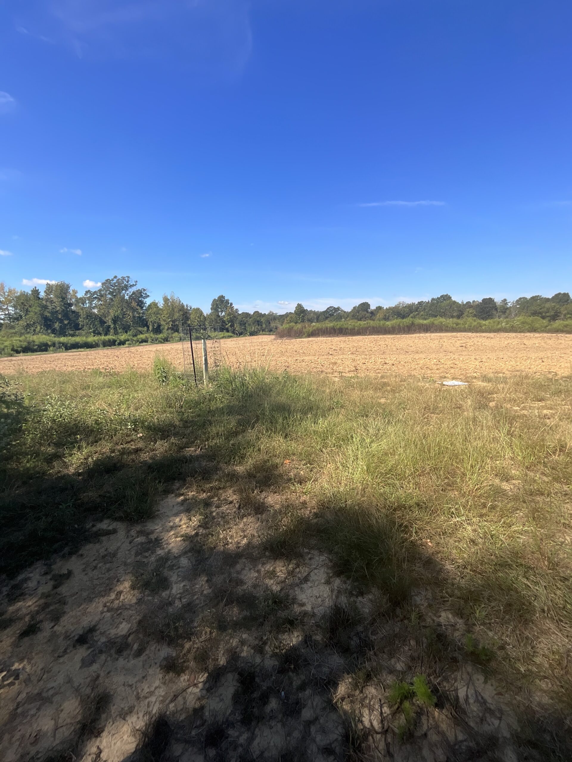 GLOSTER , MISSISSIPPI 42.5 Acres Turnkey Hunting Property
