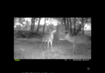 Franklin County Mississippi Country Estate 10.5 Acres 2 Creeks