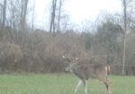 GLOSTER , MISSISSIPPI 42.5 Acres Turnkey Hunting Property