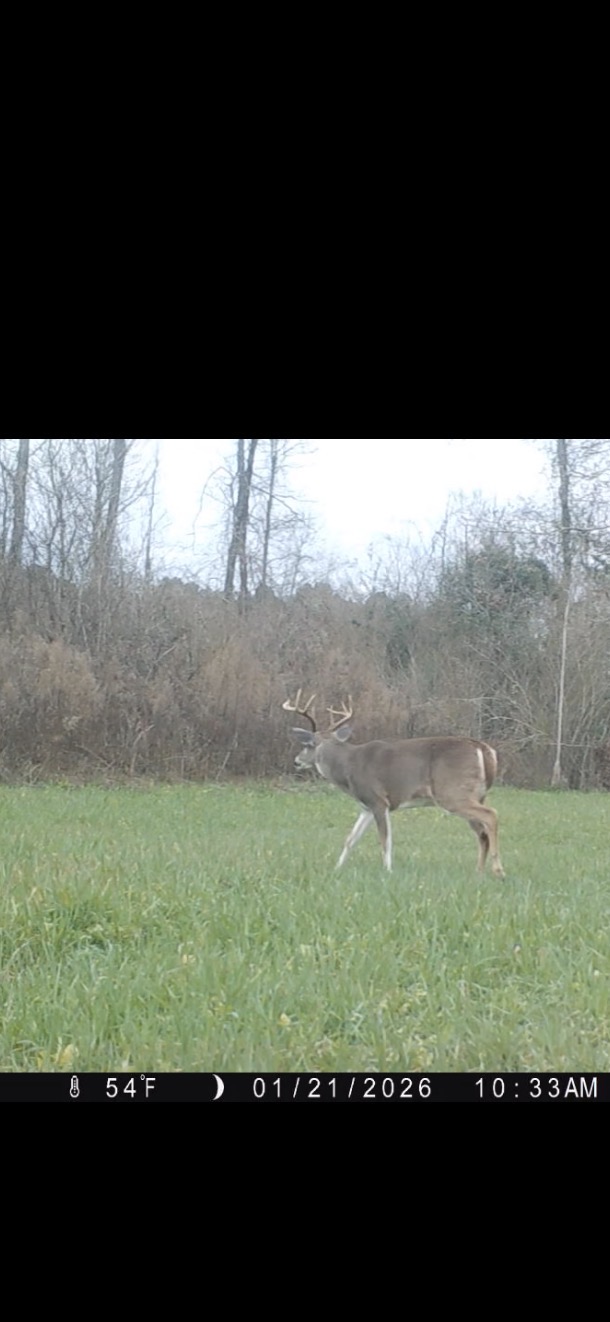 GLOSTER , MISSISSIPPI 42.5 Acres Turnkey Hunting Property