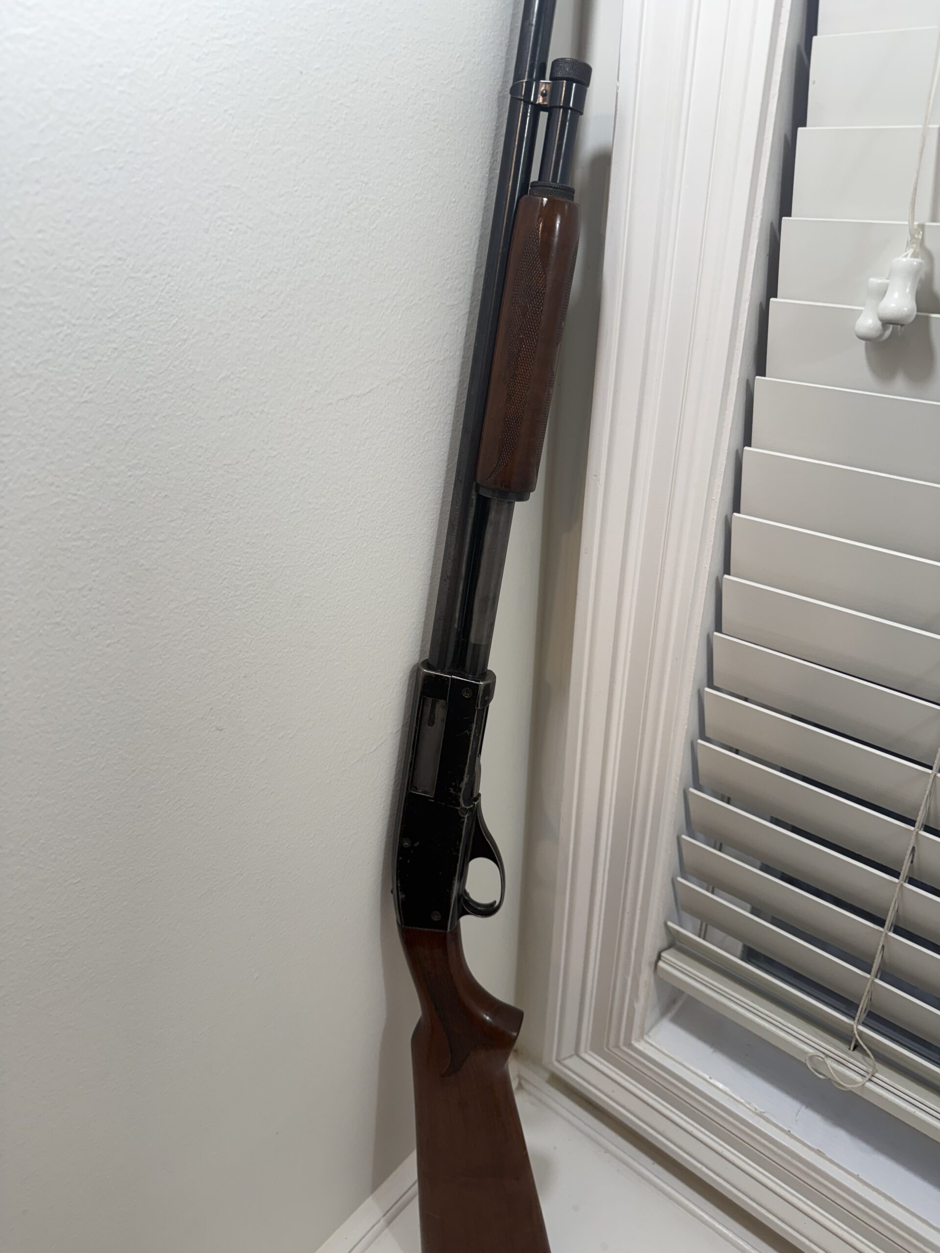 Guns, ammo, hard cases – Winchester 1897, .410 Pump