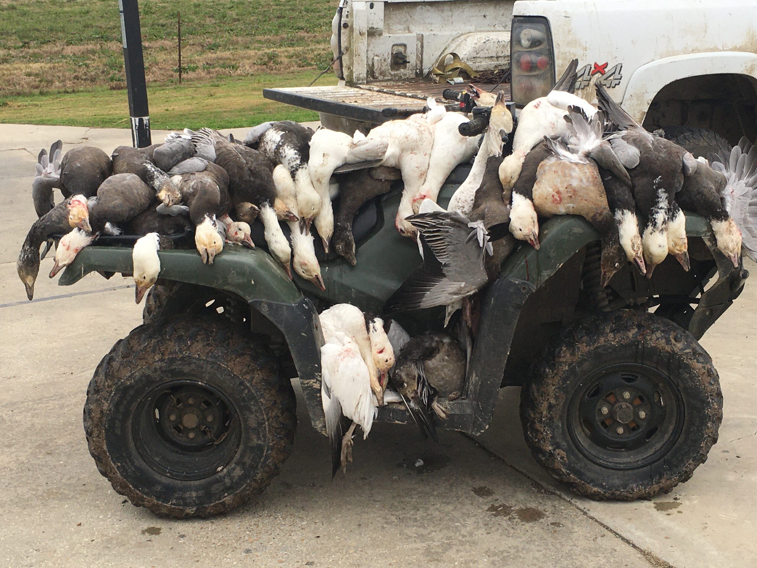 Southwest Louisiana Duck and Goose Hunting Blinds for Lease