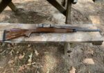 Remington 700 BDL