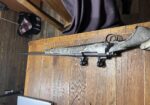 remington 700 270