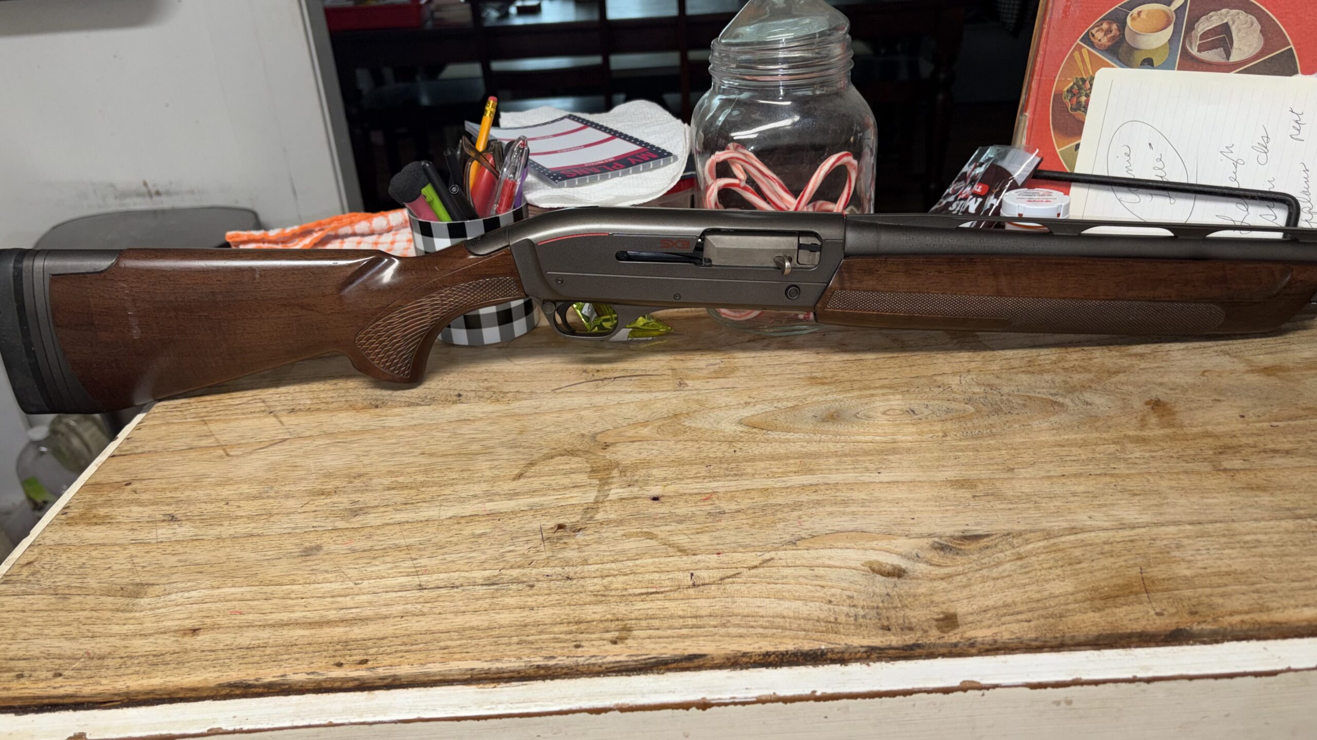 Winchester SX3