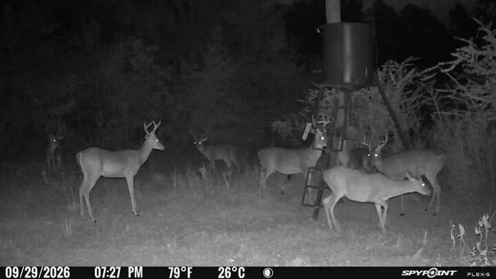 GLOSTER , MISSISSIPPI 42.5 Acres Turnkey Hunting Property