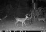 GLOSTER , MISSISSIPPI 42.5 Acres Turnkey Hunting Property