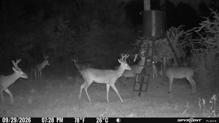 GLOSTER , MISSISSIPPI 42.5 Acres Turnkey Hunting Property