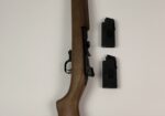 Chiappa Firearms M1-22